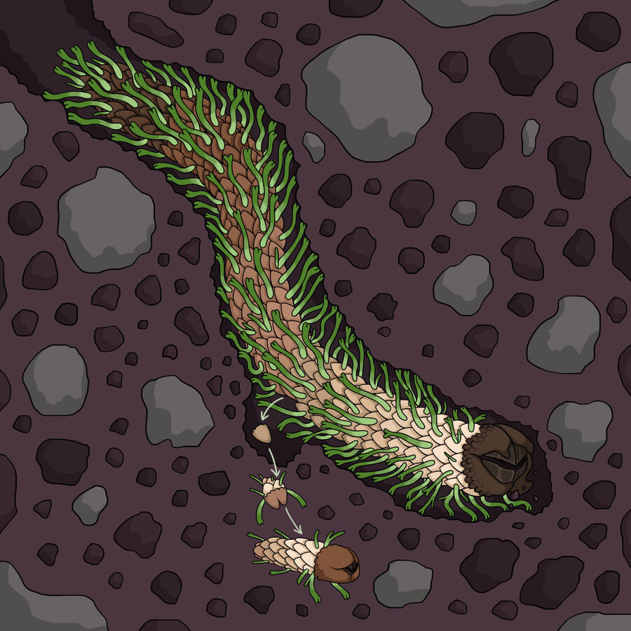 Spec Bio: Burrowing Creature [2021]