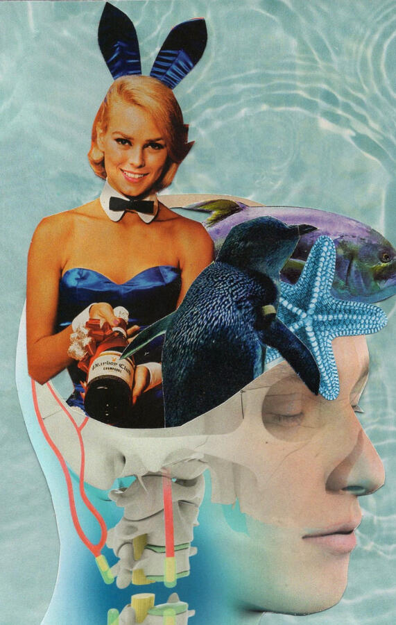 Thinking About my Favorite Animals (2023) Collage on paper