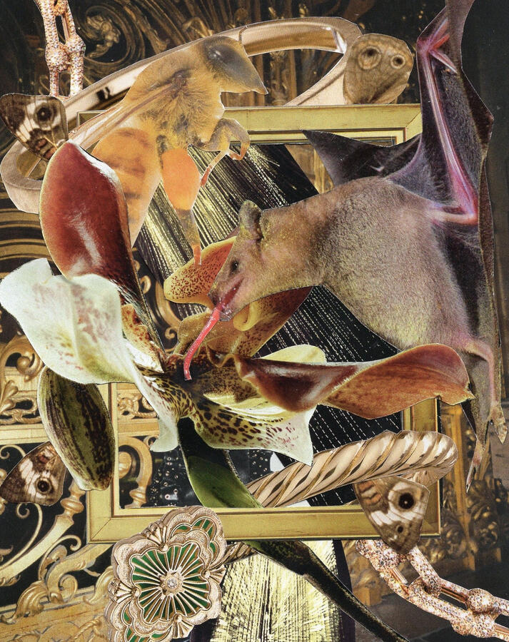 The Art of Pollination (2023) Collage on paper