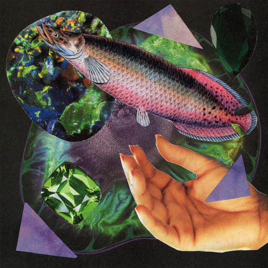 Arowana (2023) Collage on paper