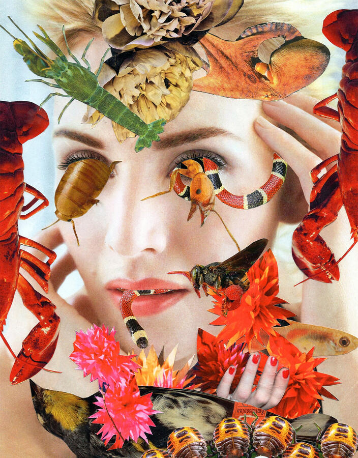 Life (2023) Collage on cardboard