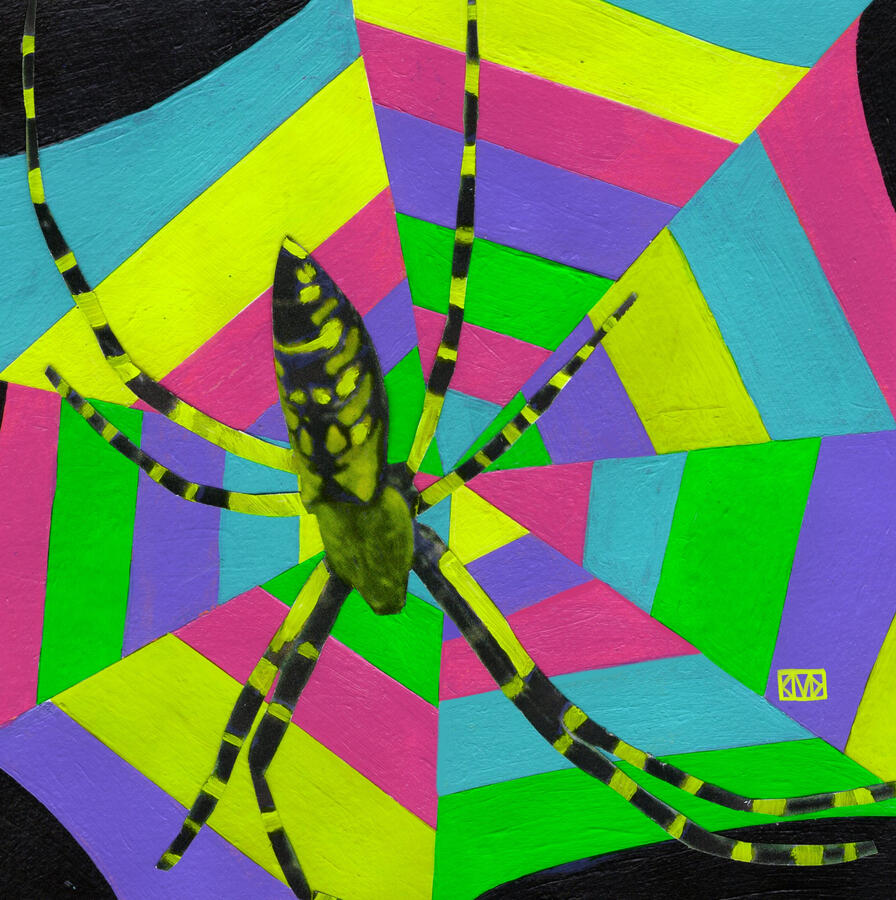 Web (2023) Acrylic & collage on paper