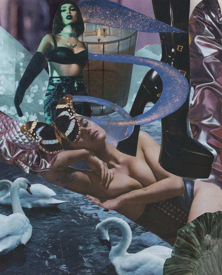 Swan Lake (2024) Collage on paper