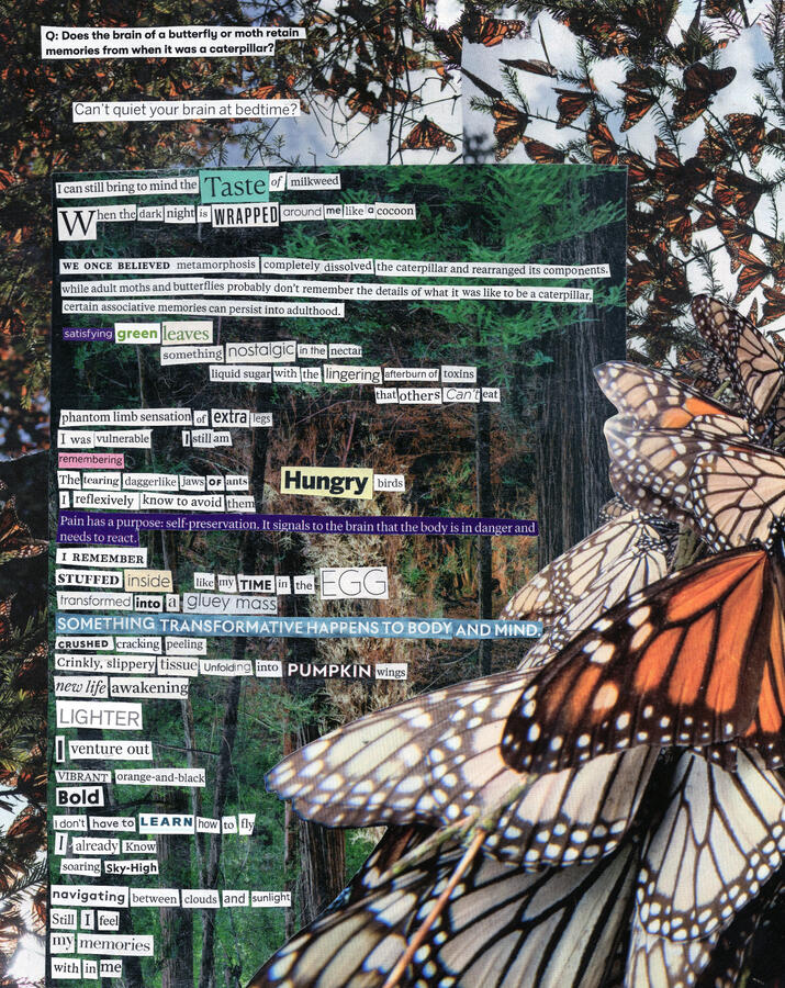 Monarch Found Word Poem (2023) Collage on board