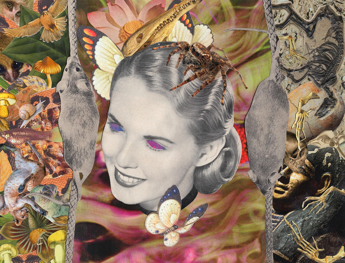 Memento Mori (2023) Collage on paper