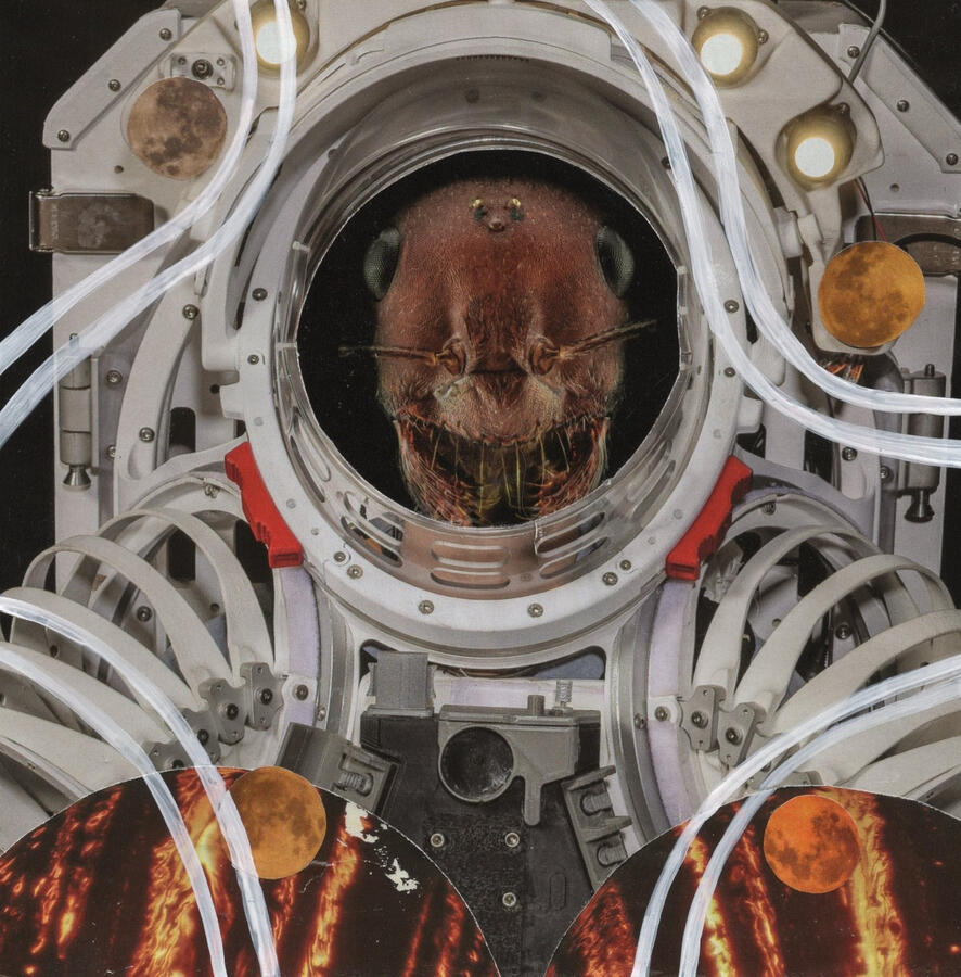 Antstronaut (2024) Collage &amp; acrylic on paper