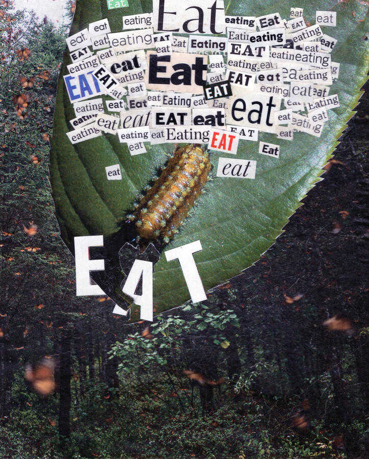 EAT (2023) Collage on paper
