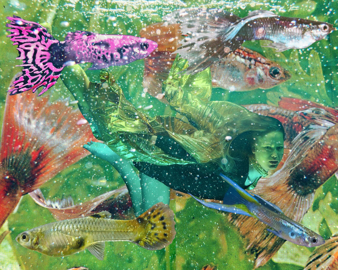 Guppy Collage (2023) Digital & analog collage