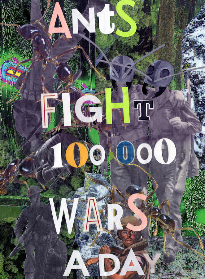 Ant War (2023) Collage & acrylic on canvas