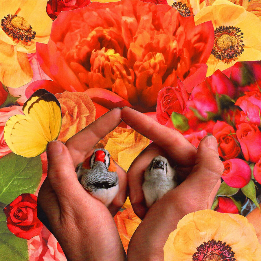 Birds of a Feather (2023) Collage on paper